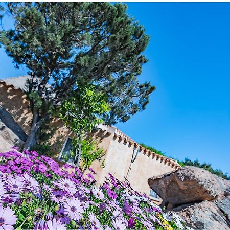 Sardinia Family Villas - Villa Nina With Private Pool Abbiadori Dış mekan fotoğraf